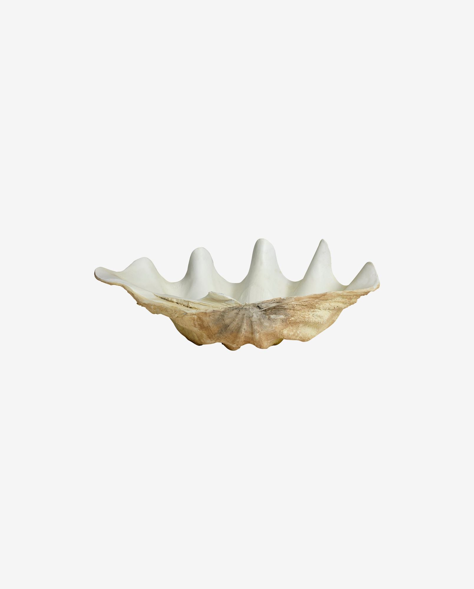 KICHI Shell Dekorationsskål, Vit