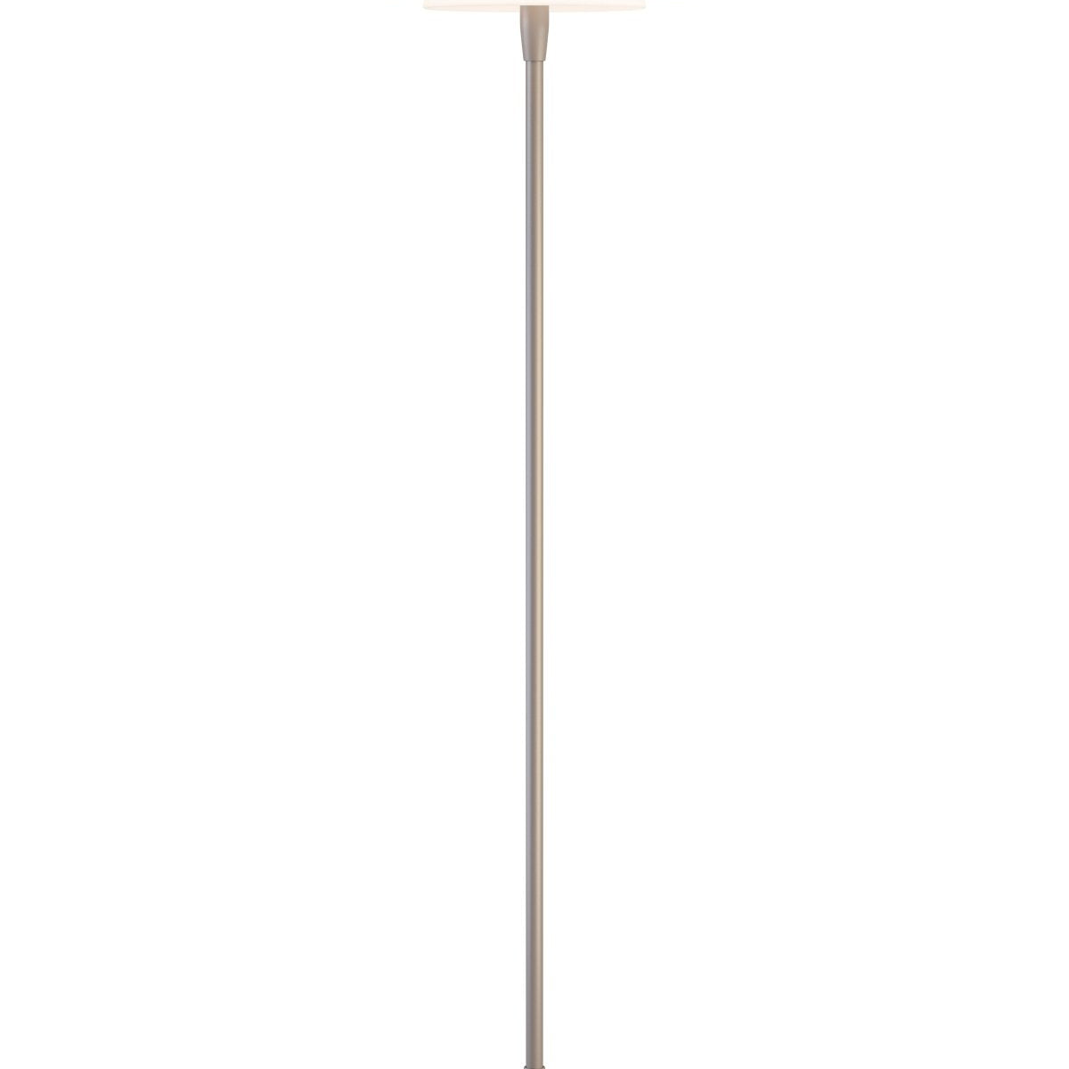 Belid Golvlampa Horisont 141cm metallic champagne - Azalea Home