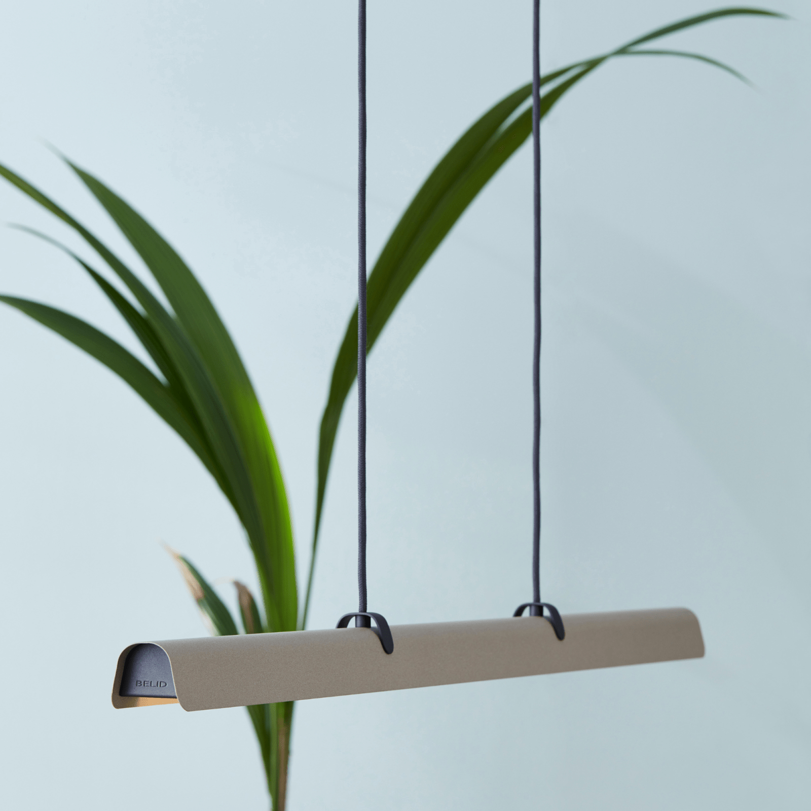 antracit - Azalea Home