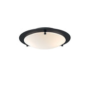 Belid Plafond Cirklo Ø30 svartstruktur - Azalea Home