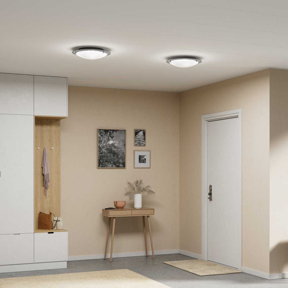 Belid Plafond Cirklo Ø40 betongstruktur - Azalea Home