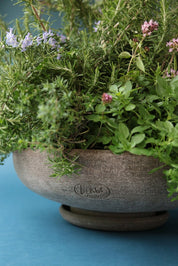 Bergs Potter Ada Kruka med Fat Ø 45 cm, Grå - Azalea Home