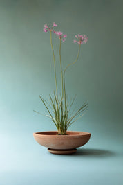 Bergs Potter Ada Kruka med Fat Ø 45 cm, Rosa - Azalea Home