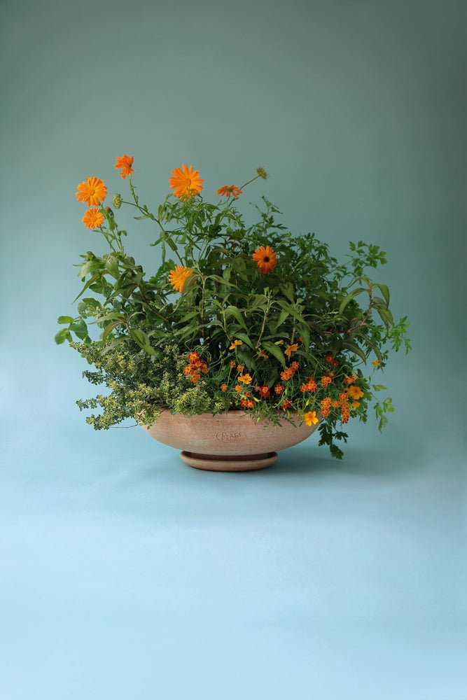 Bergs Potter Ada Kruka med Fat Ø 45 cm, Rosa - Azalea Home