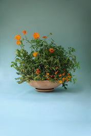 Bergs Potter Ada Kruka med Fat Ø 45 cm, Rosa - Azalea Home