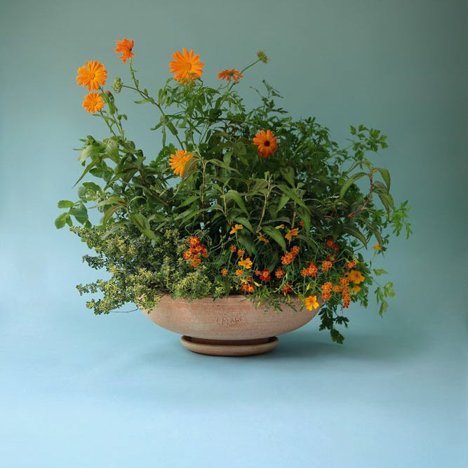 Bergs Potter Ada Kruka med Fat Ø 45 cm, Rosa - Azalea Home