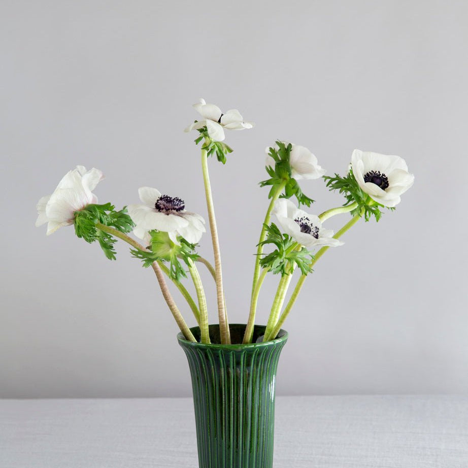 Bergs Potter Daisy Vas H20 cm, Grön - Azalea Home