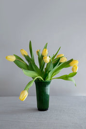 Bergs Potter Daisy Vas H20 cm, Grön - Azalea Home