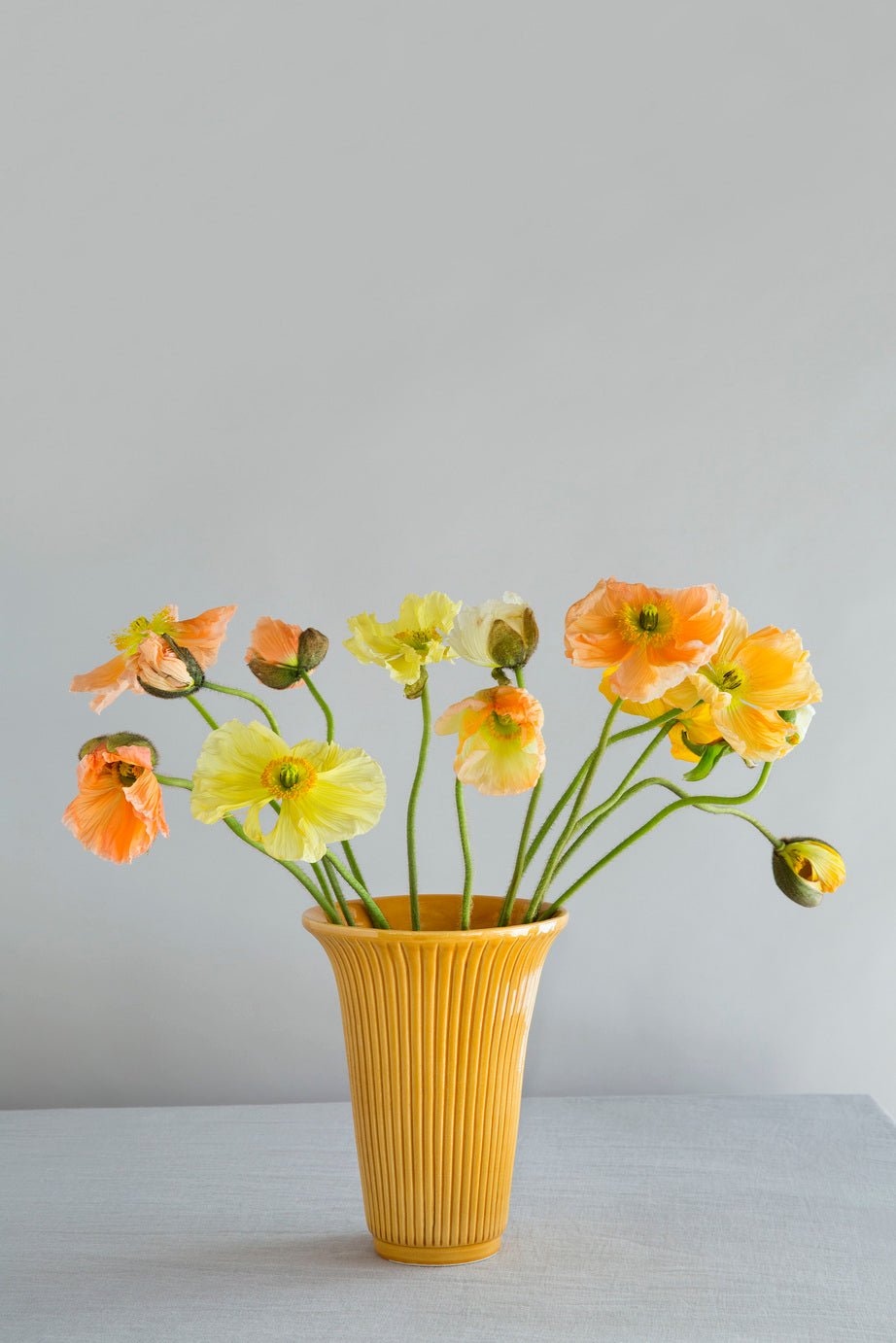 Bergs Potter Daisy Vas H25 cm, Gul - Azalea Home