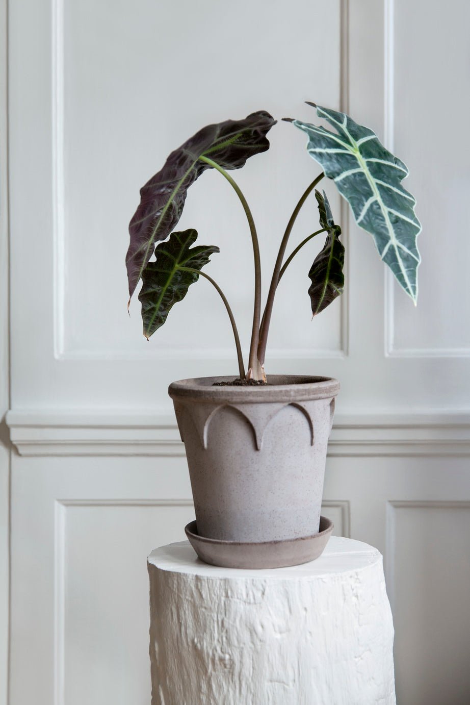 Bergs Potter Elizabeth Kruka med Fat Ø25 cm, Grå - Azalea Home