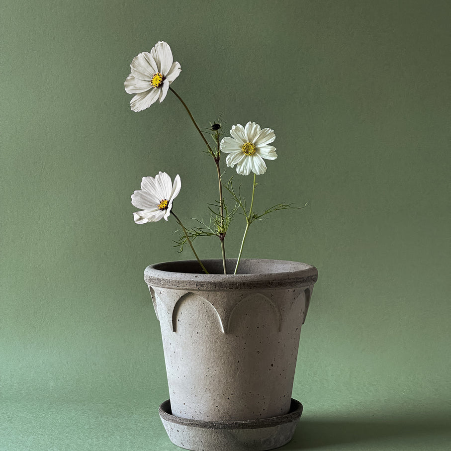 Bergs Potter Elizabeth Kruka med Fat Ø25 cm, Grå - Azalea Home