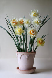 Bergs Potter Elizabeth Kruka med Fat Ø25 cm, Rosa - Azalea Home