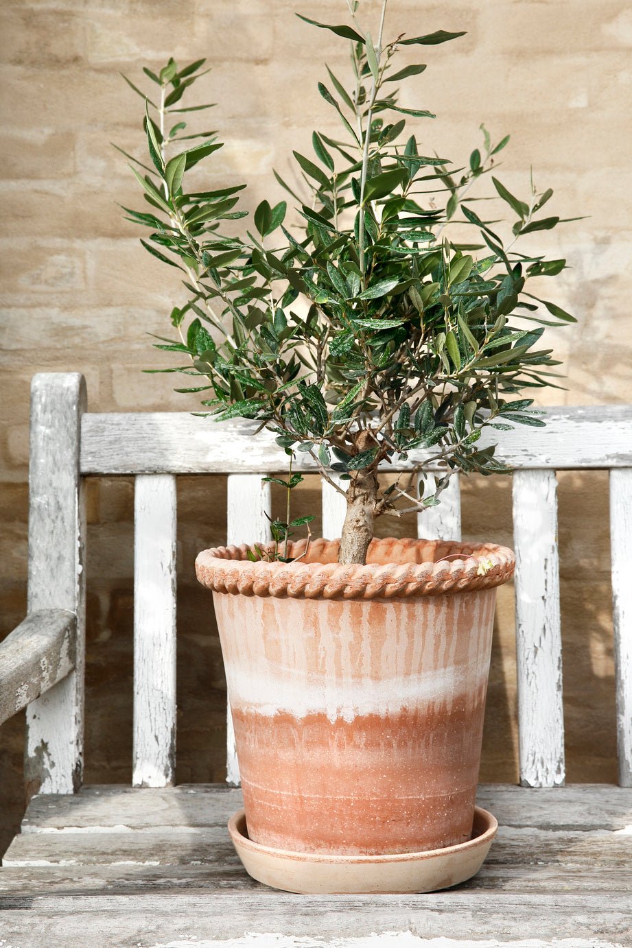 Bergs Potter Emilia Kruka med Fat Ø25 cm, Rosa - Azalea Home