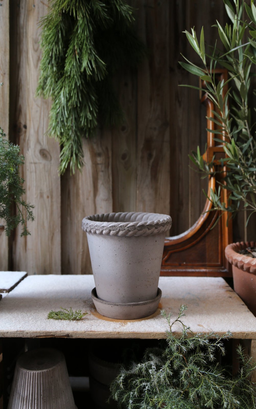 Bergs Potter Emilia Kruka med Fat Ø35 cm, Grå - Azalea Home