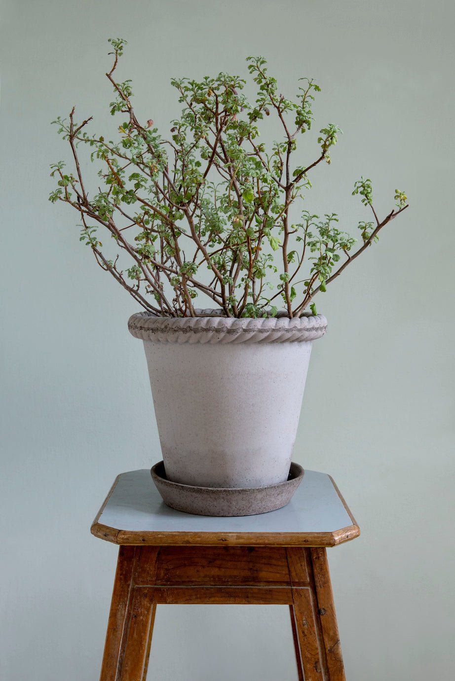 Bergs Potter Emilia Kruka med Fat Ø35 cm, Grå - Azalea Home