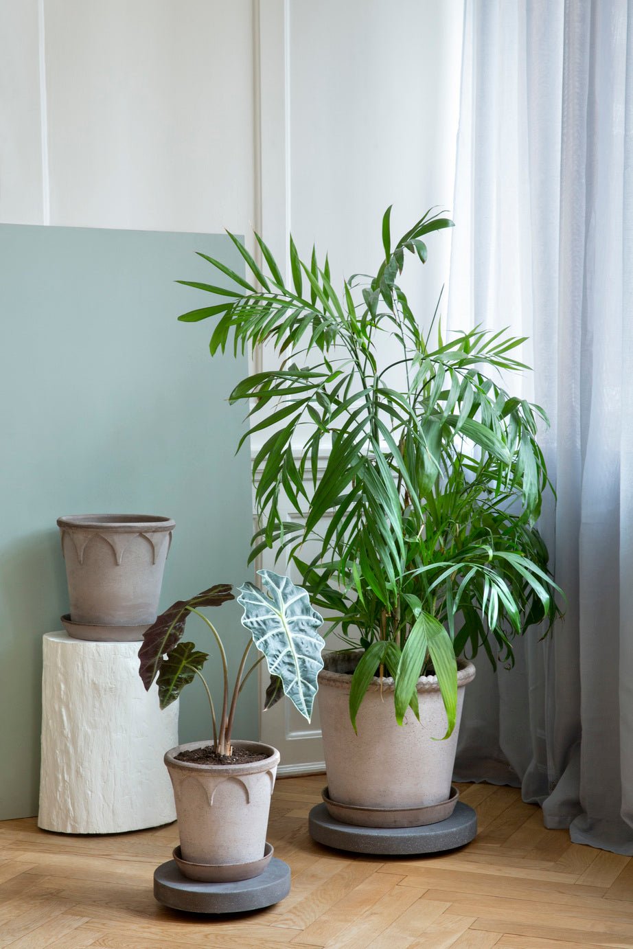 Bergs Potter Emilia Kruka med Fat Ø35 cm, Grå - Azalea Home