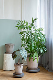 Bergs Potter Emilia Kruka med Fat Ø35 cm, Grå - Azalea Home