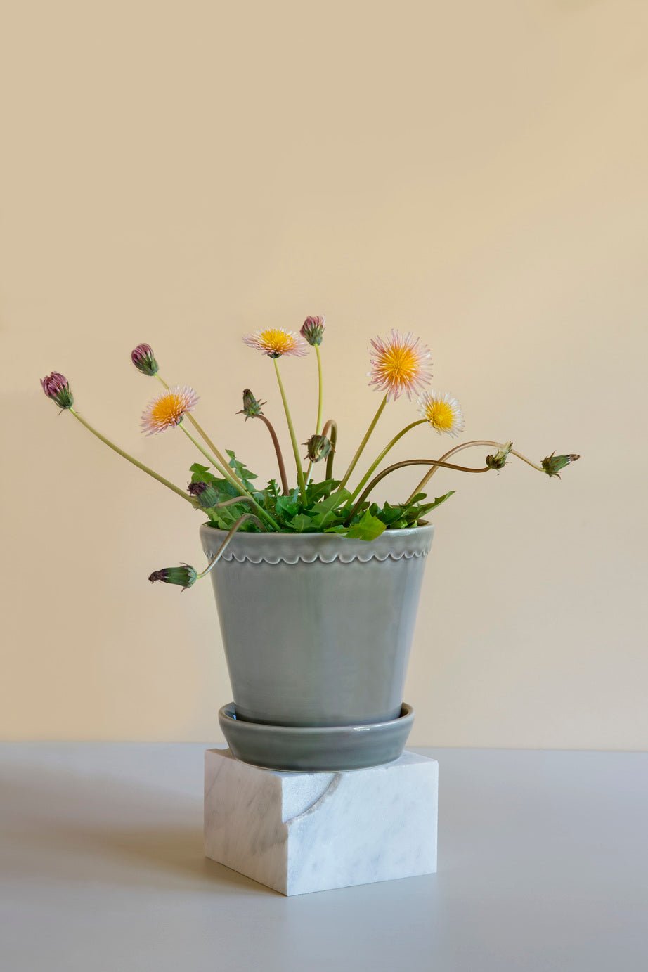 Bergs Potter Helena Kruka med Fat Ø18 cm, Pearl Grey - Azalea Home