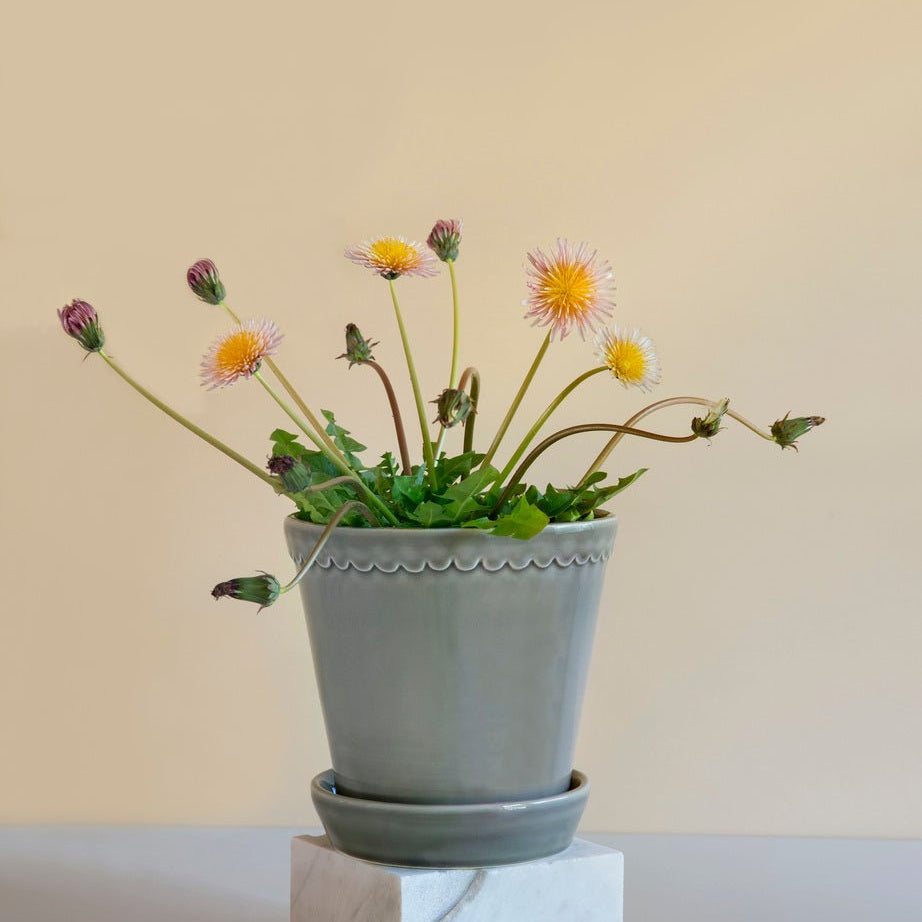 Bergs Potter Helena Kruka med Fat Ø18 cm, Pearl Grey - Azalea Home