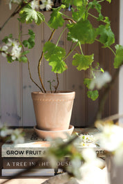 Bergs Potter Helena Kruka med Fat Ø18 cm, Quartz Rose - Azalea Home