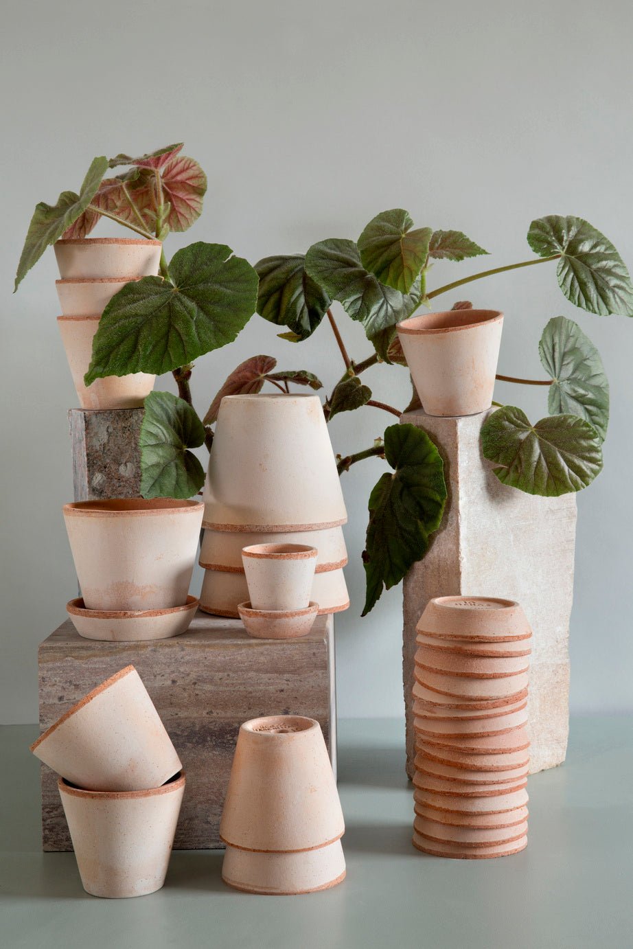 Bergs Potter Julie Kruka med Fat Ø25 cm, Rosa - Azalea Home