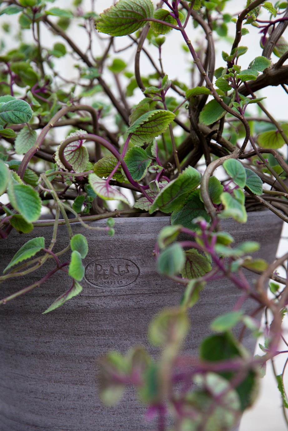 Bergs Potter Julie Kruka med Fat Ø40 cm, Grå - Azalea Home