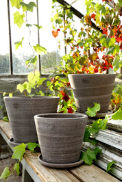 Bergs Potter Julie Kruka med Fat Ø40 cm, Grå - Azalea Home