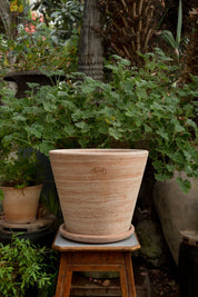 Bergs Potter Julie Kruka med Fat Ø40 cm, Rosa - Azalea Home
