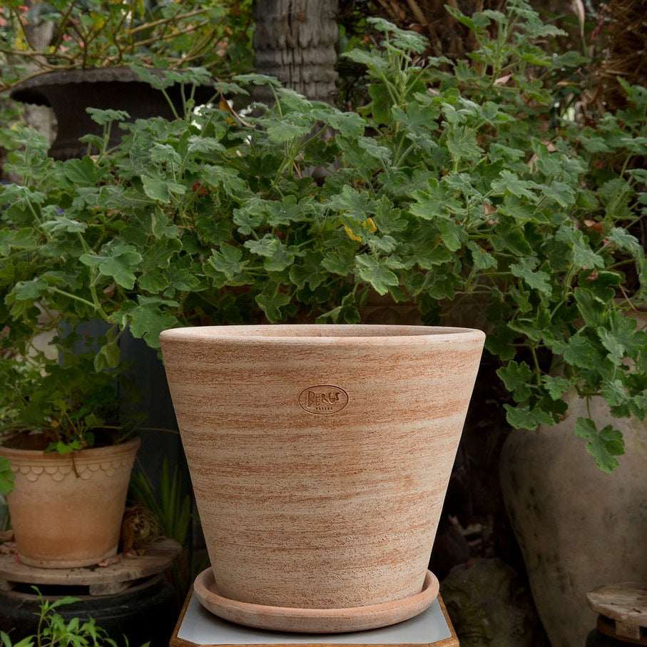 Bergs Potter Julie Kruka med Fat Ø40 cm, Rosa - Azalea Home