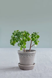 Bergs Potter Köpenhamn Kruka Ø10 cm, Pearl Grey - Azalea Home