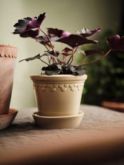 Bergs Potter Köpenhamn Kruka Ø14 cm, Sand Stone - Azalea Home