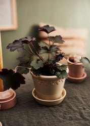 Bergs Potter Köpenhamn Kruka Ø14 cm, Sand Stone - Azalea Home