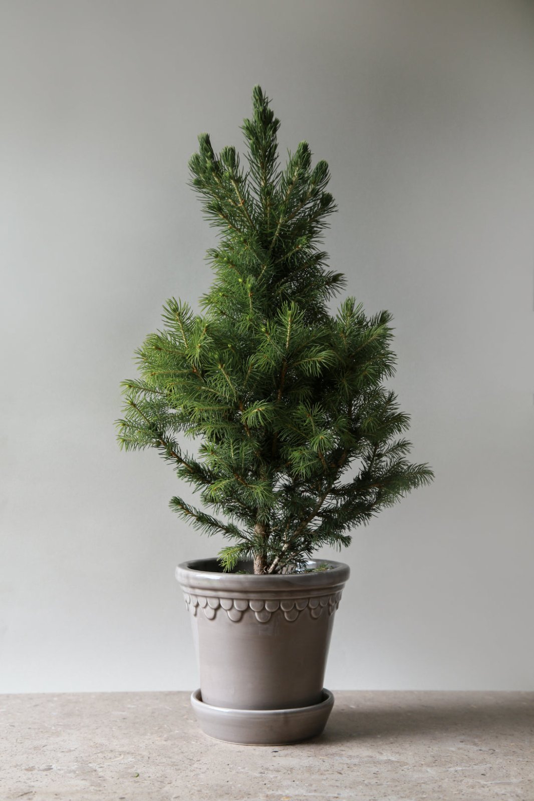 Bergs Potter Köpenhamn Kruka Ø21 cm, Pearl Grey - Azalea Home