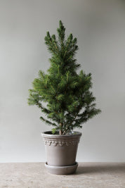 Bergs Potter Köpenhamn Kruka Ø21 cm, Pearl Grey - Azalea Home