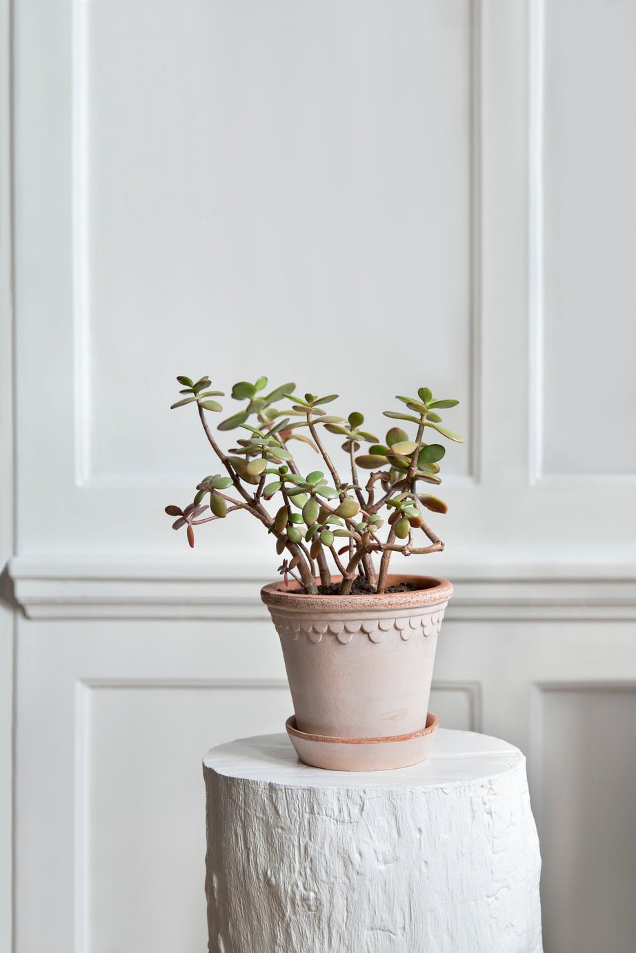 Bergs Potter Köpenhamn Kruka Ø21 cm, Rosa - Azalea Home