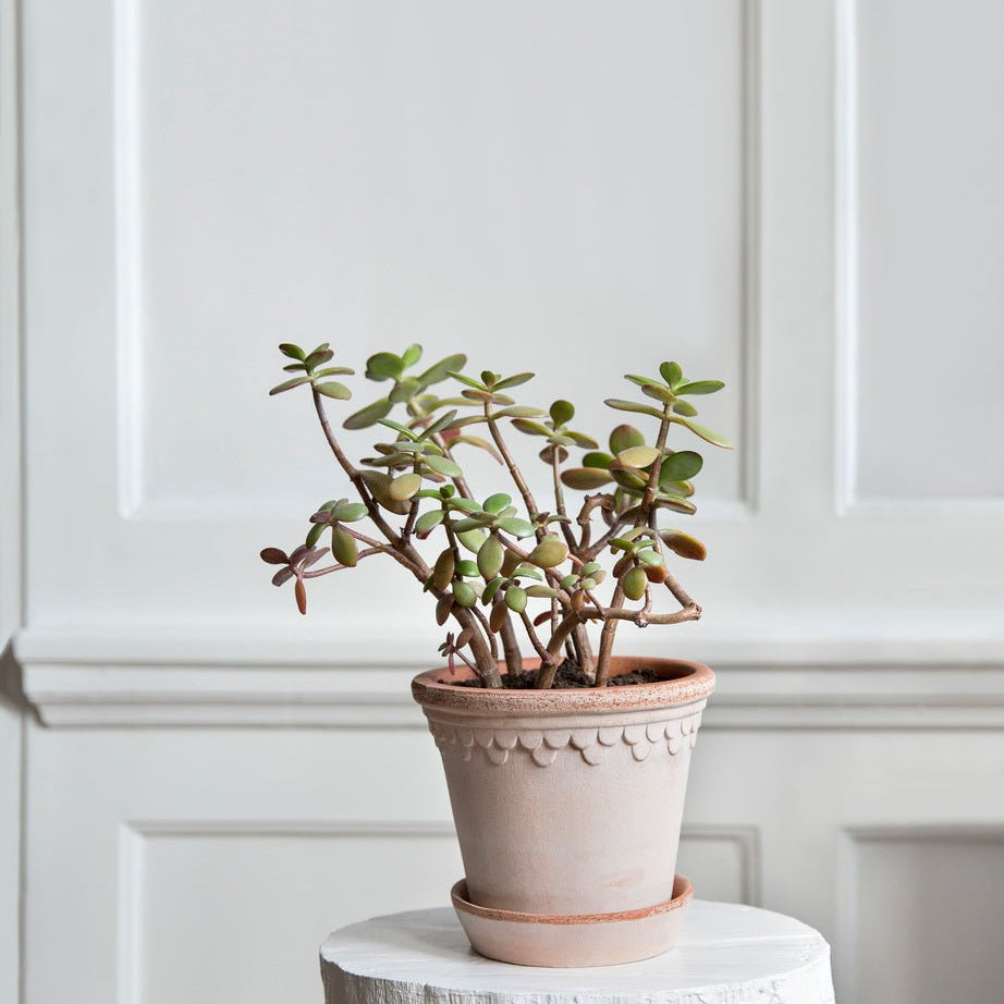Bergs Potter Köpenhamn Kruka Ø21 cm, Rosa - Azalea Home