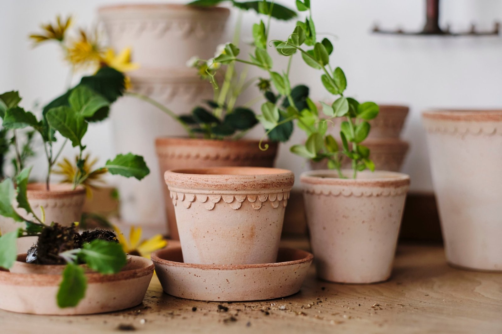 Bergs Potter Köpenhamn Kruka Ø21 cm, Rosa - Azalea Home