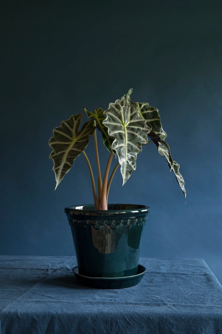 Bergs Potter Köpenhamn Kruka Ø25 cm, Blå - Azalea Home