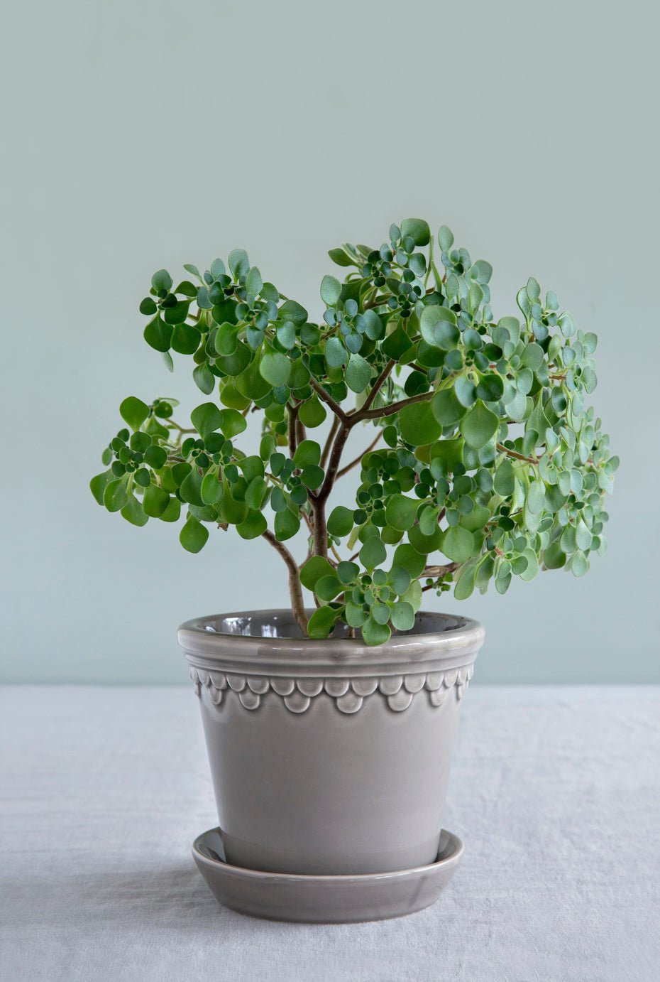 Bergs Potter Köpenhamn Kruka Ø25 cm, Pearl Grey - Azalea Home