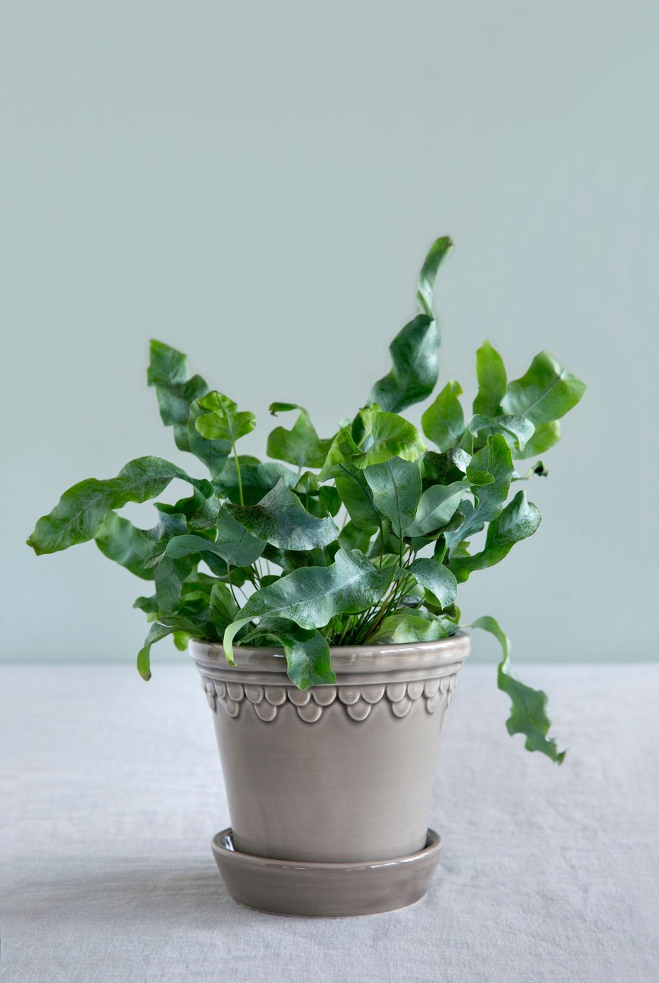 Bergs Potter Köpenhamn Kruka Ø25 cm, Pearl Grey - Azalea Home