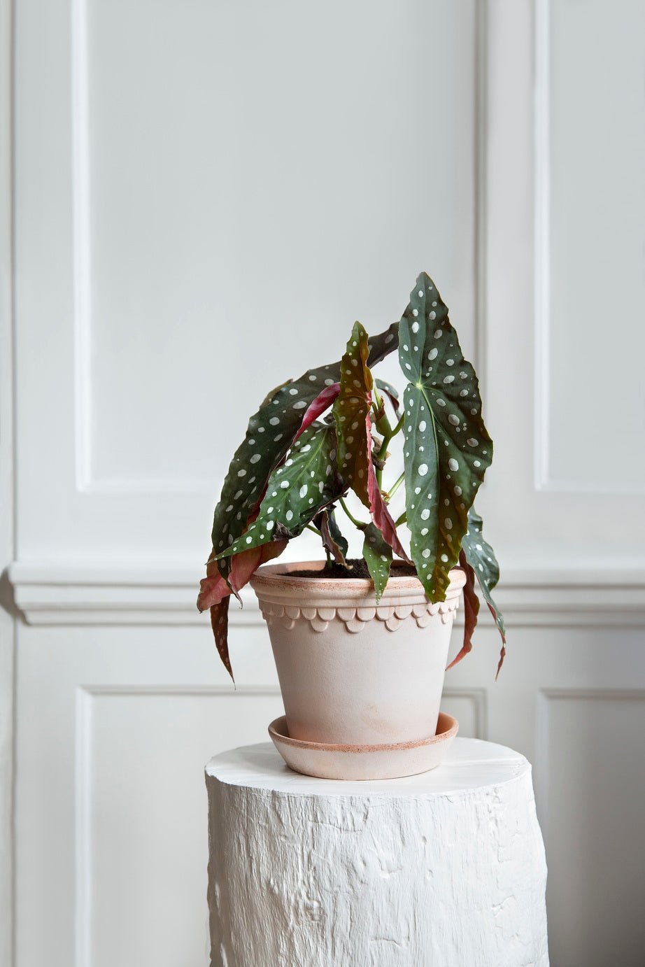 Bergs Potter Köpenhamn Kruka Ø25 cm, Rosa - Azalea Home