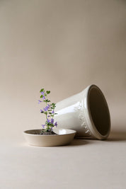 Bergs Potter Köpenhamn Kruka Ø25 cm, Sand Stone - Azalea Home