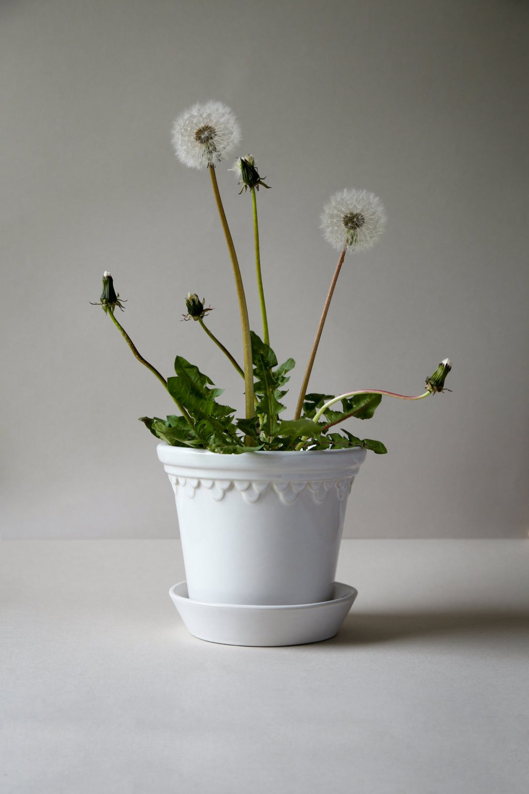 Bergs Potter Köpenhamn Kruka Ø25 cm, Vit - Azalea Home