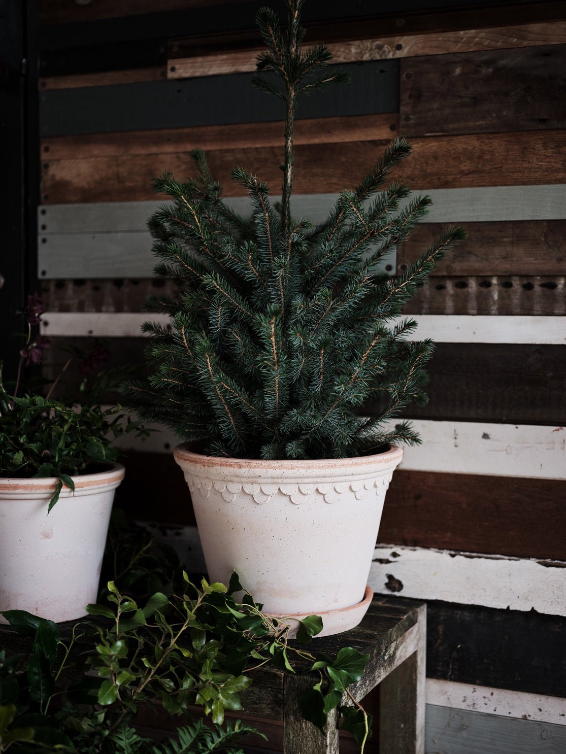 Bergs Potter Köpenhamn Kruka Ø30 cm, Rosa - Azalea Home