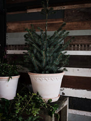 Bergs Potter Köpenhamn Kruka Ø30 cm, Rosa - Azalea Home