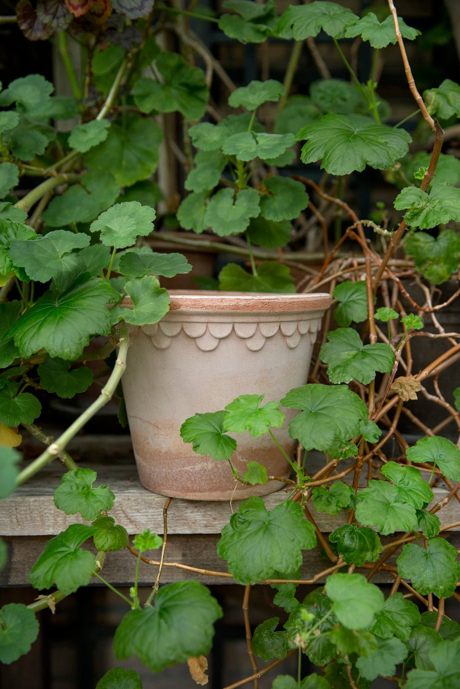 Bergs Potter Köpenhamn Kruka Ø35 cm, Rosa - Azalea Home