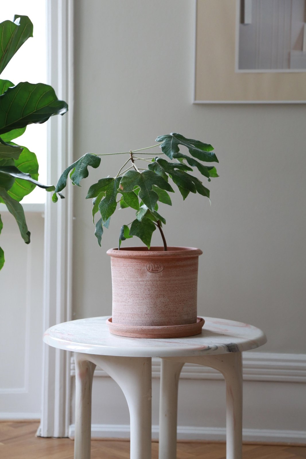 Bergs Potter Modena Kruka med Fat Ø40cm, Rosa - Azalea Home