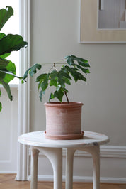 Bergs Potter Modena Kruka med Fat Ø40cm, Rosa - Azalea Home