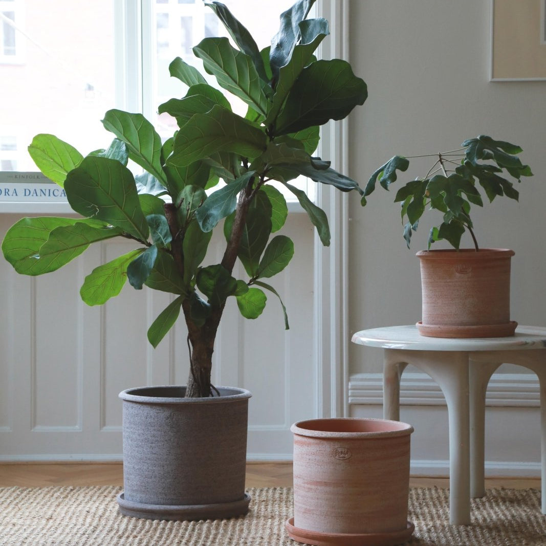 Bergs Potter Modena Kruka med Fat Ø40cm, Rosa - Azalea Home