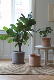 Bergs Potter Modena Kruka med Fat Ø40cm, Rosa - Azalea Home